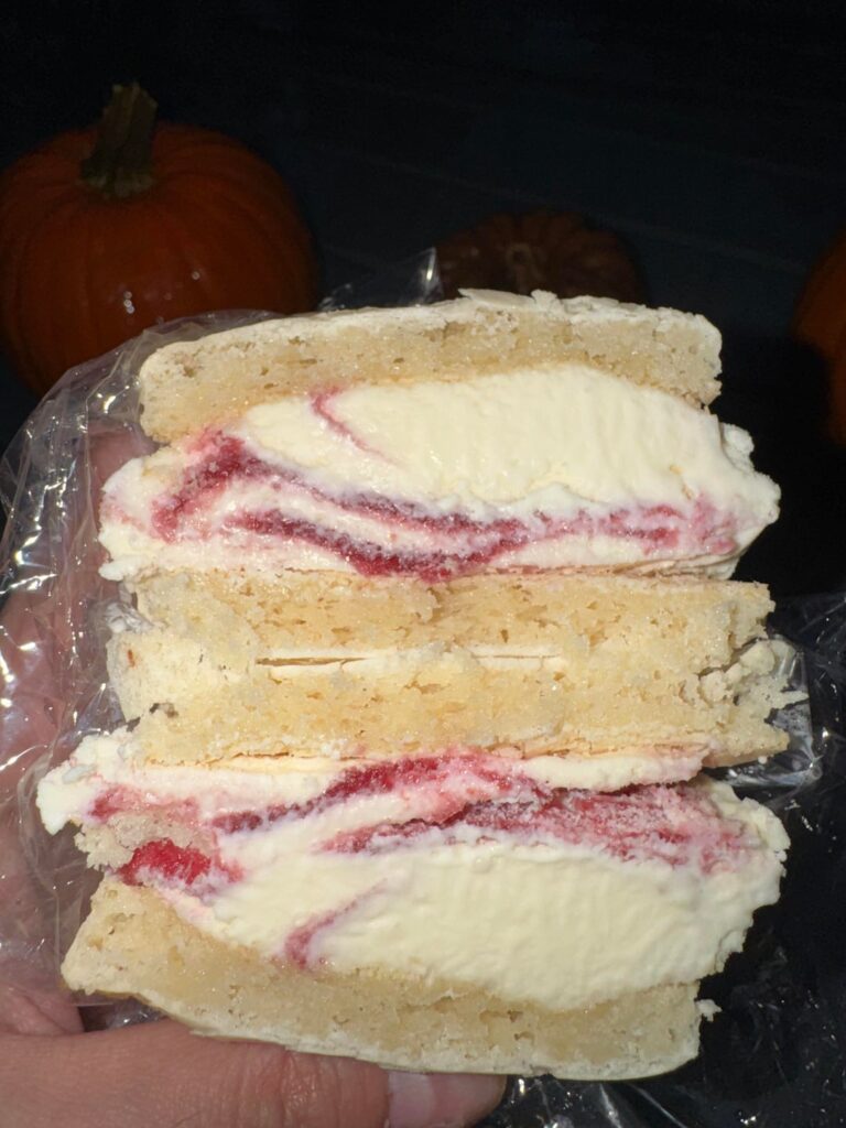 Macaron Ice cream Sandwiches 🍦