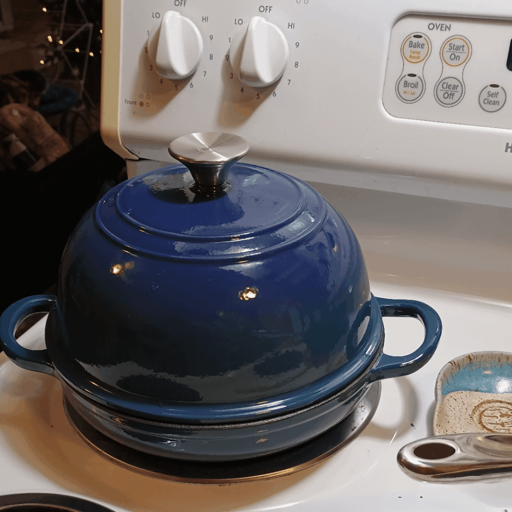 Learn From my Holiday Travel Oopsie