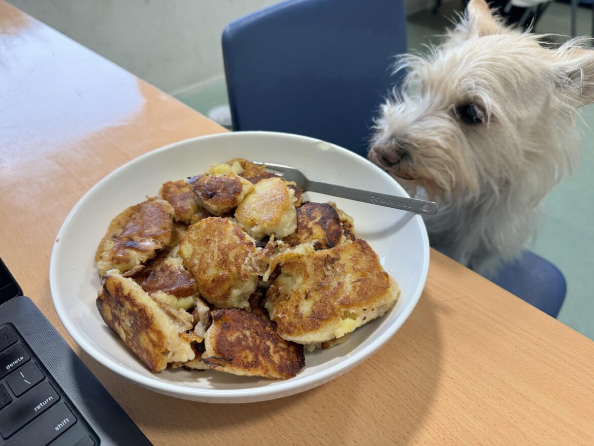 first attempt at haluški, mistakes were made