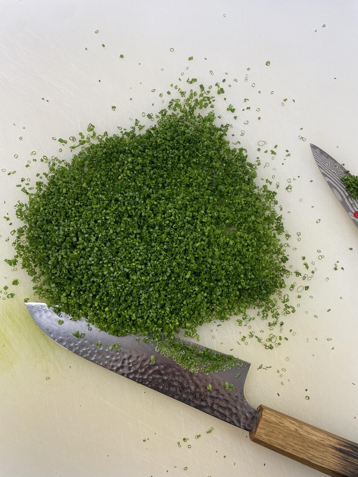 Cutting a couple of chives almost every day until this Reddit says they’re perfect. Day 64.5 ON THE FLY
