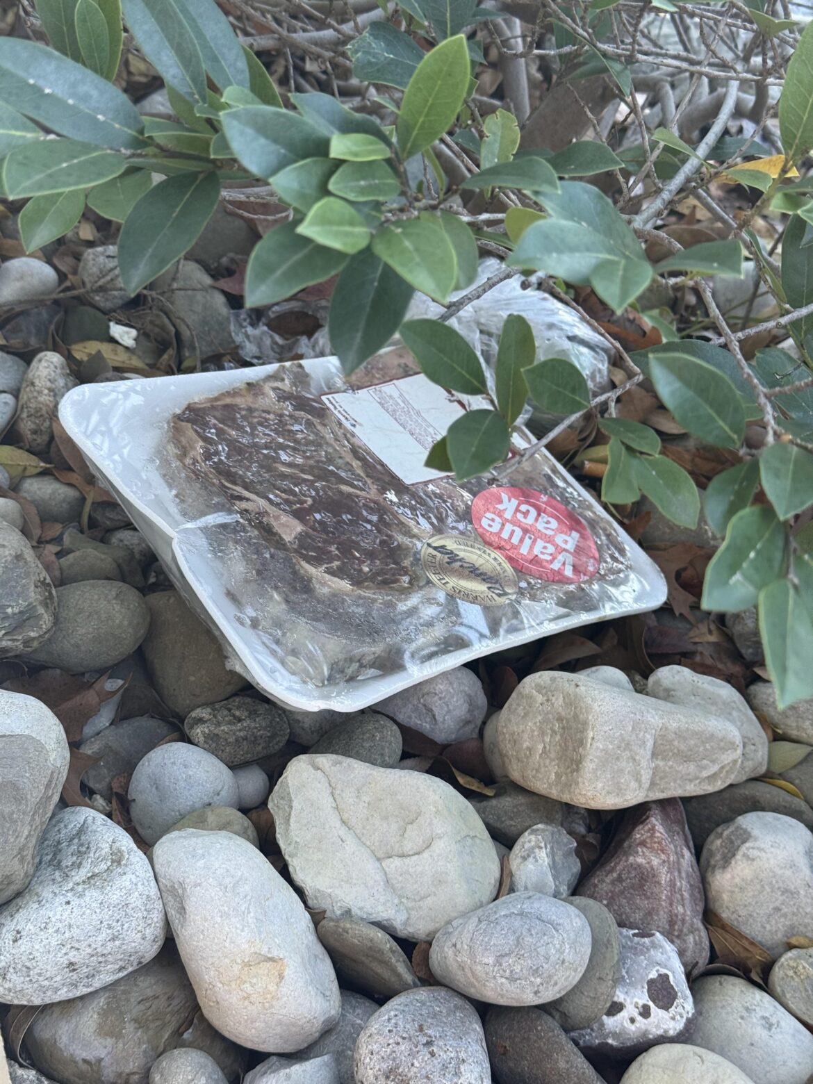 Times are tough,  so I’m not sure why someone would throw a couple of ribeyes into the bushes.