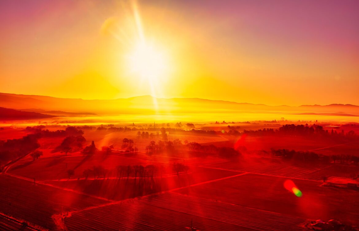 California’s most influential wine producers identified California’s most influential wine producers identified