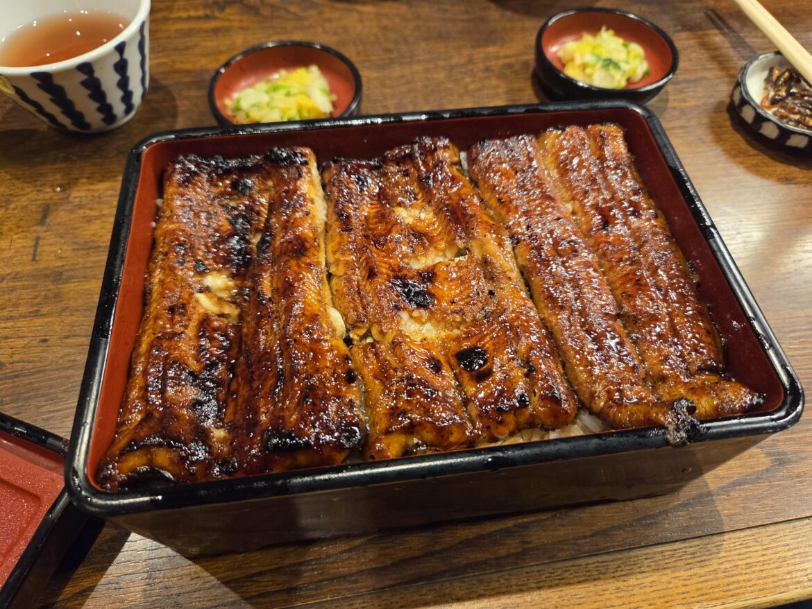 Unagi