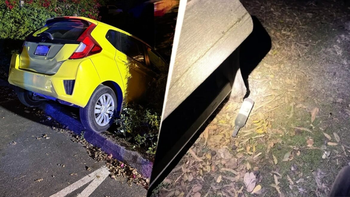 Indian-American entrepreneur tries to burn down winery in California, crashes Tesla into cars