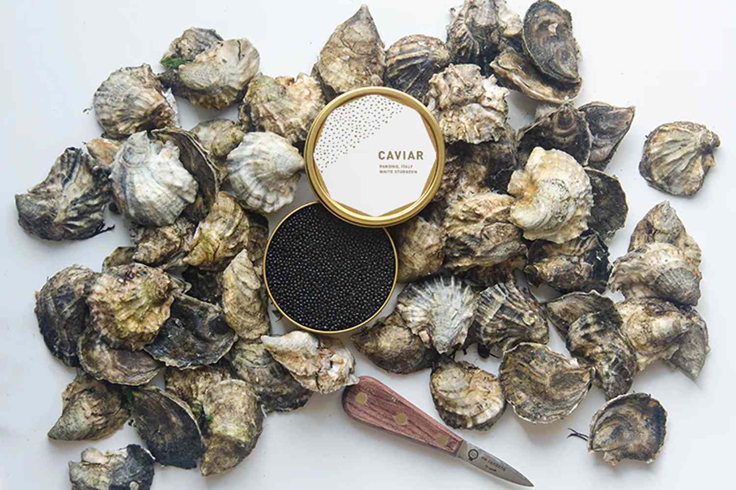 Island Creek Oysters The Block Party