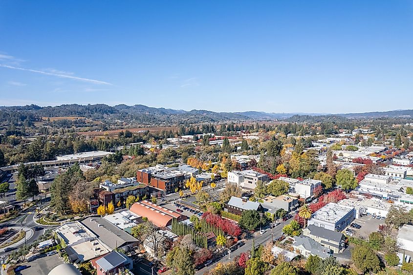 Overlooking Healdsburg, California.