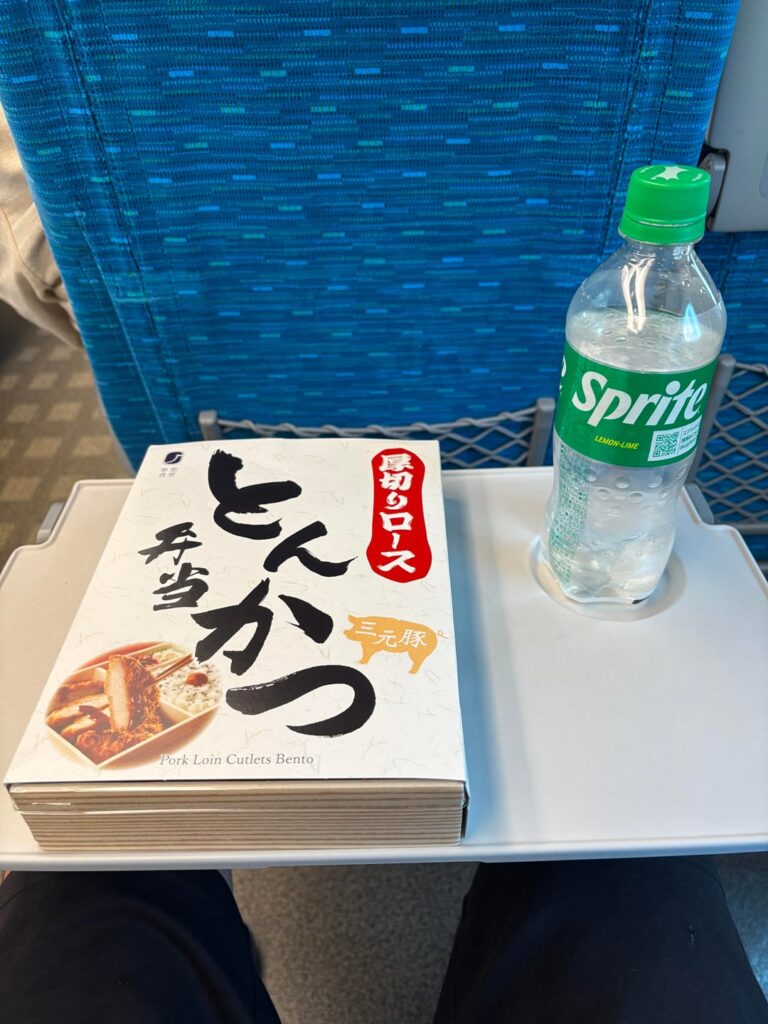 Ekiben was surprisingly fresh and tasty for a pre made/room temperature meal