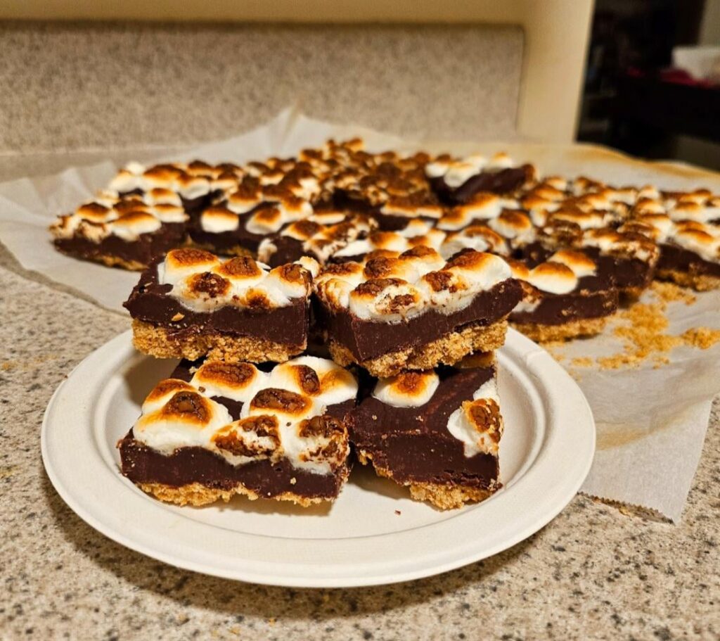 I made s'mores fudge today y'all and omfgggggg