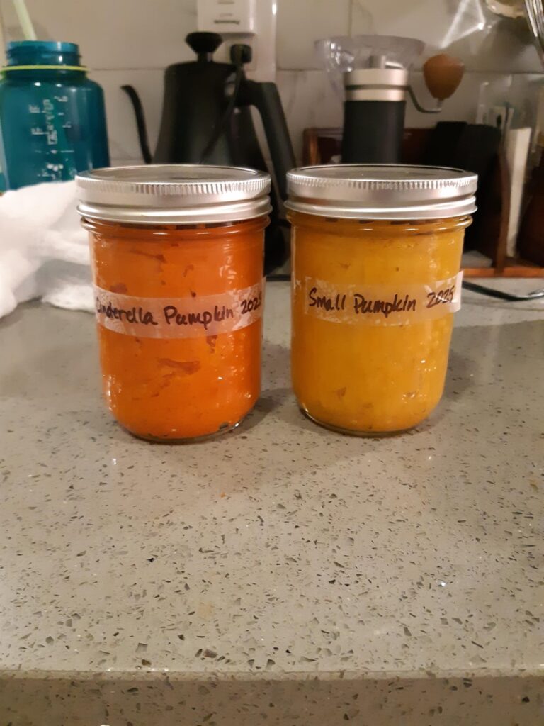 Pumpkin Puree