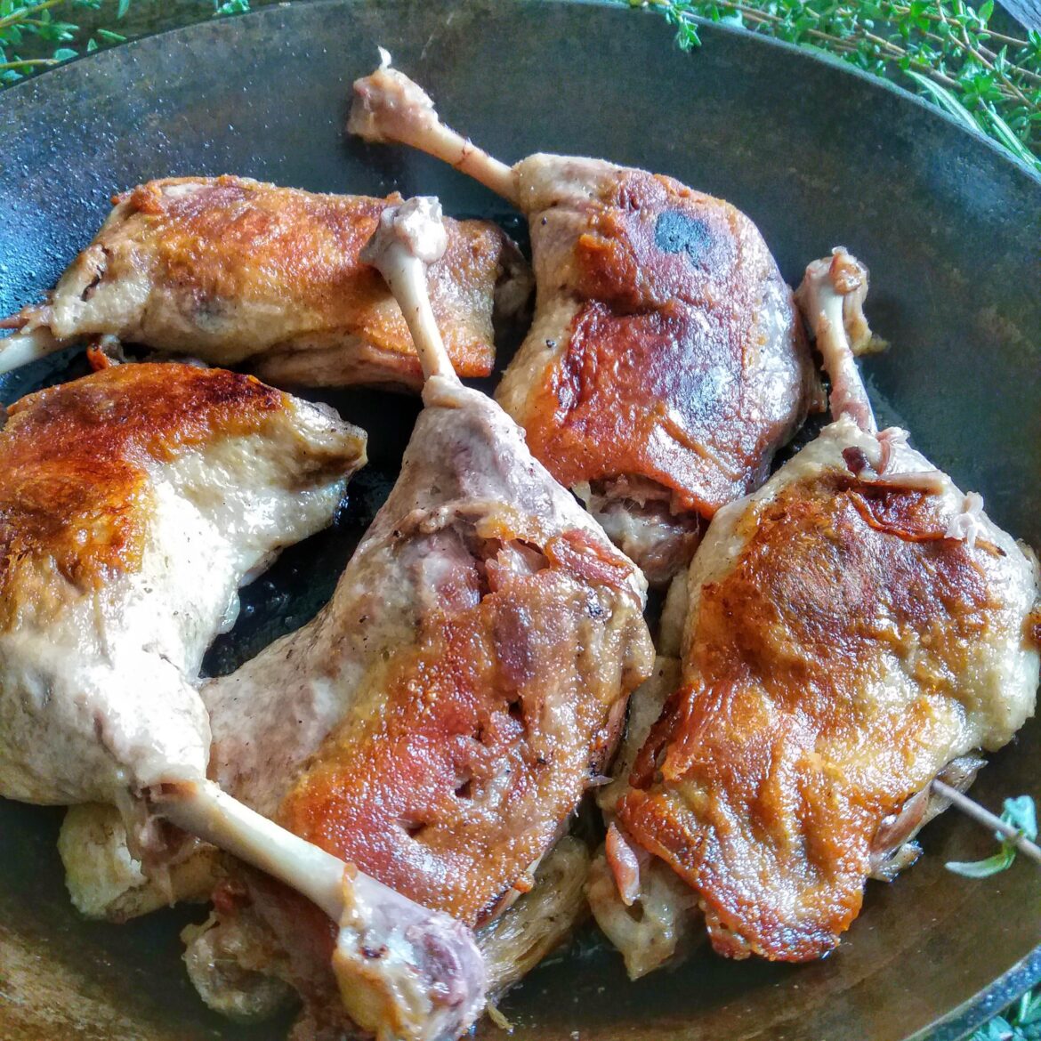 Duck leg confit