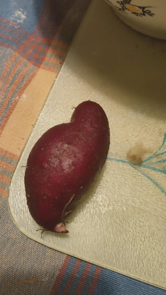 Is this good to eat ?