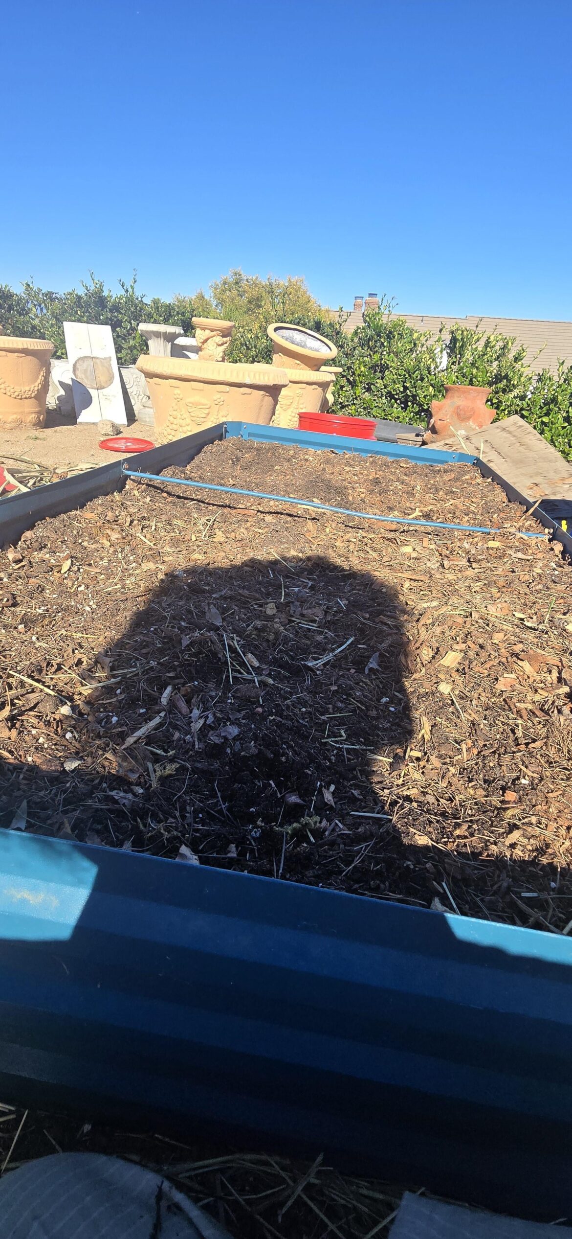 Did I not fill my beds tall enough?