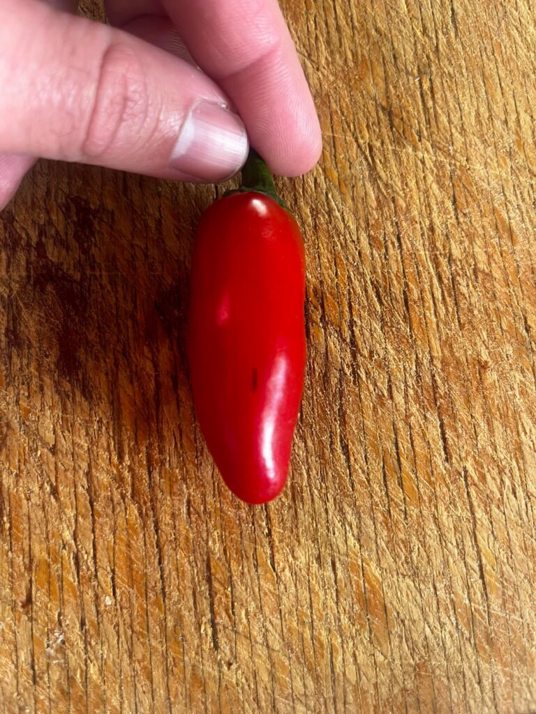 Is this a sign of worms