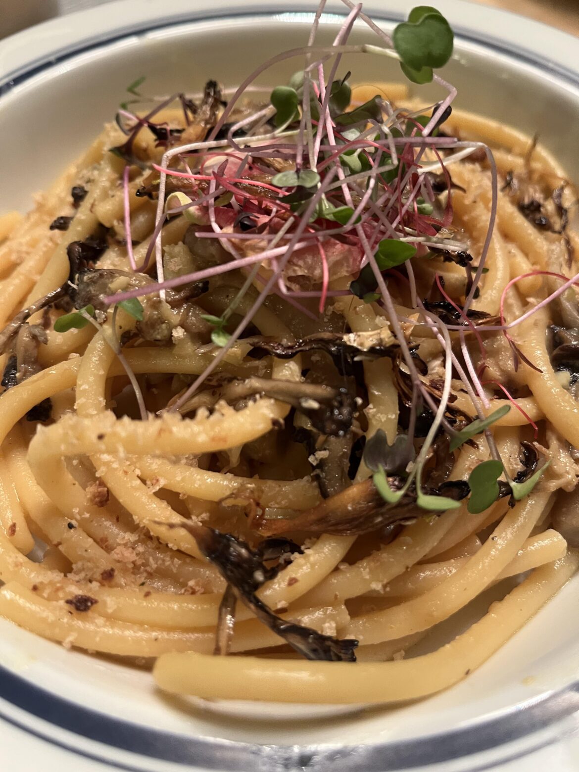 Wild mushroom bucatini finished with roasted mushrooms, micro greens and some breadcrumbs.