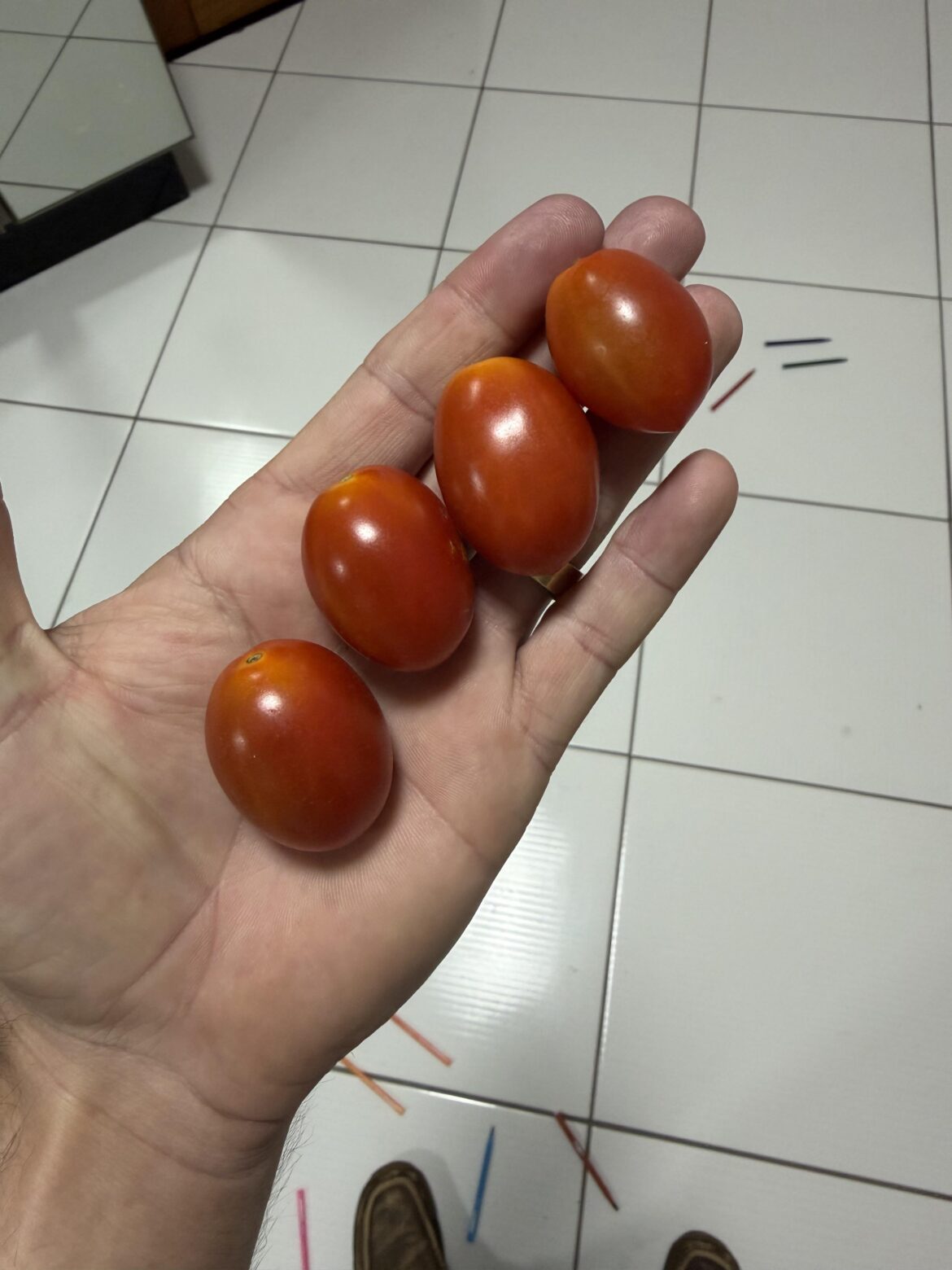 I bought them thinking they were cherry tomatoes, but are they really? They look like grape tomatoes.
