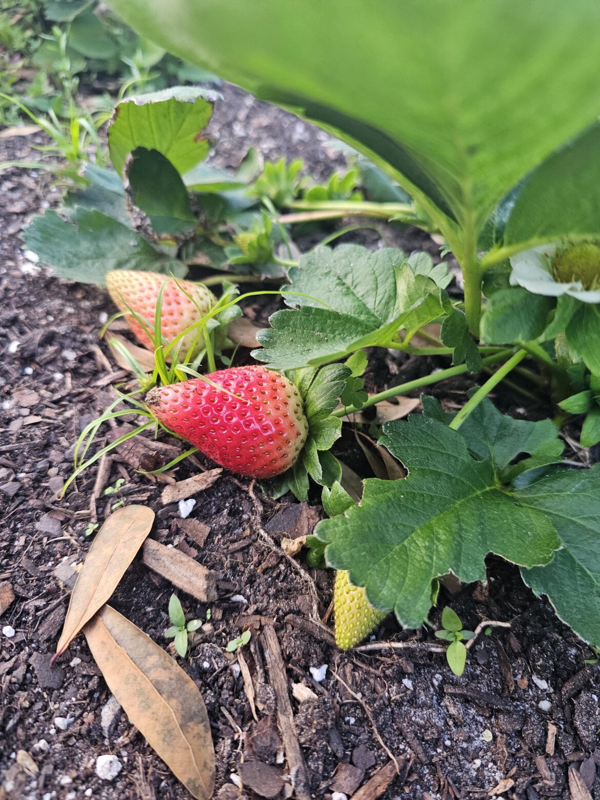 We're getting there.