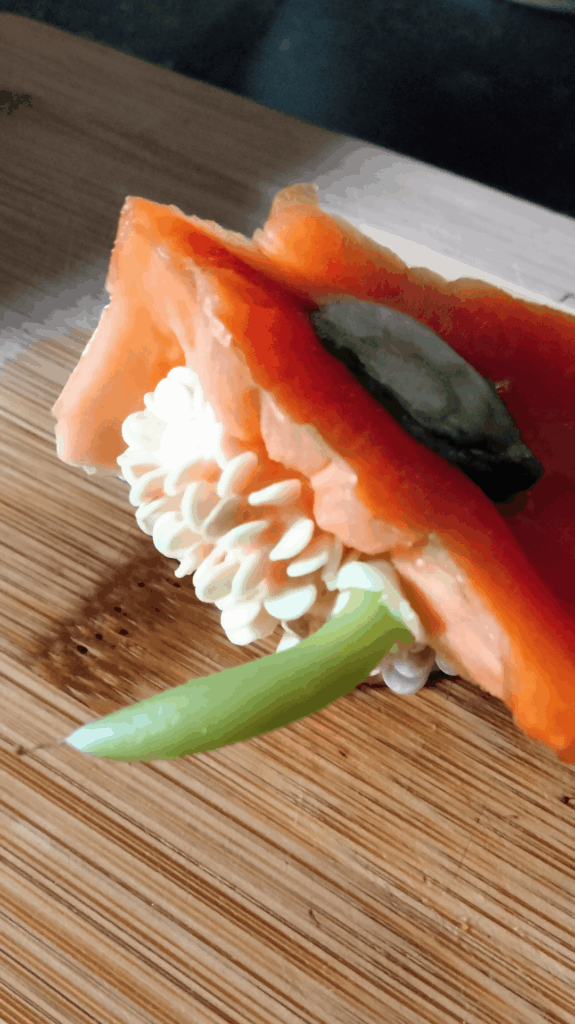 What is this stem like structure growing inside of this bell pepper?