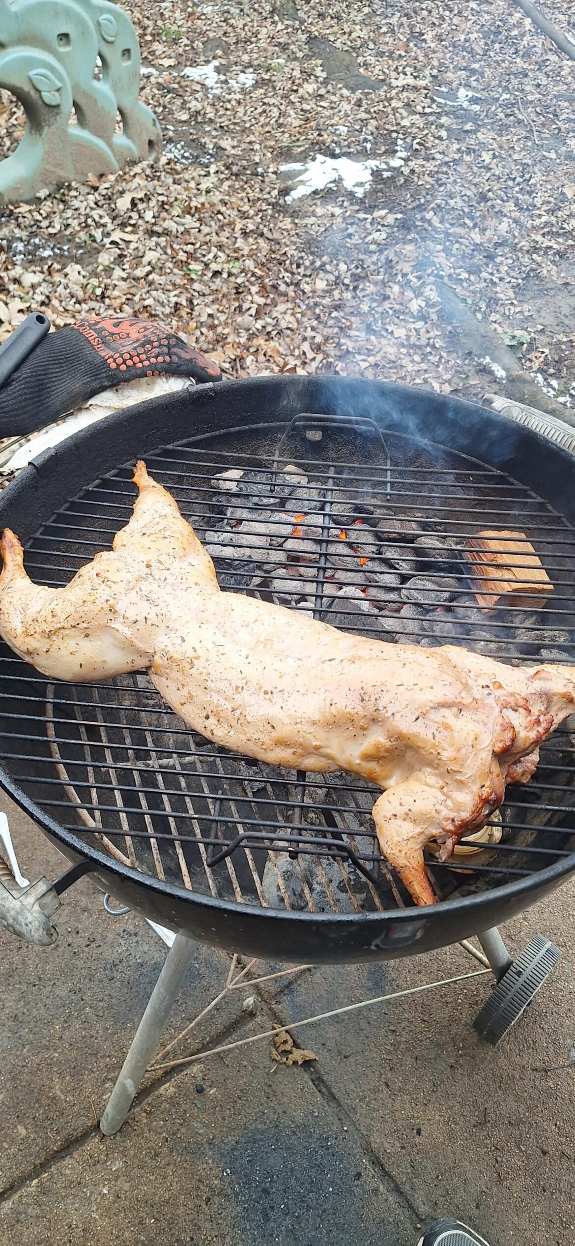 Another rabbit, another cold day