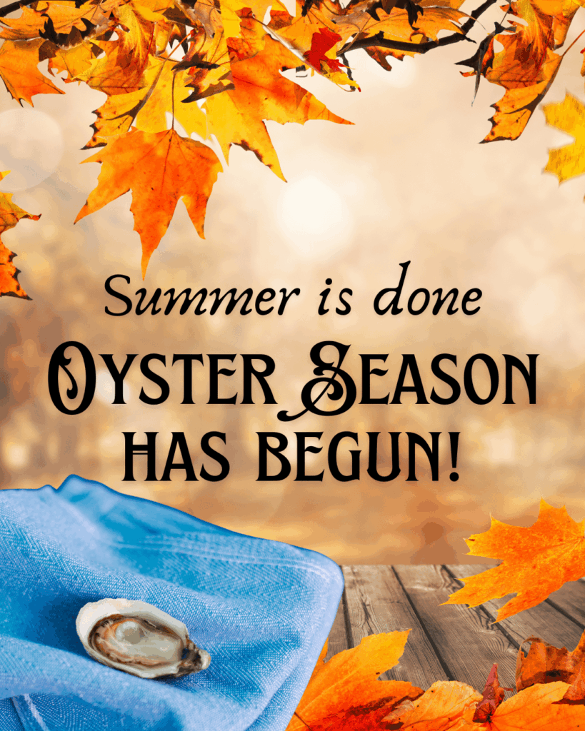 Summer is done 🍁🍂 Oyster Season has begun! 🦪🌊