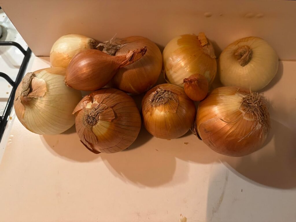 Might as well caramelize them alllll, right??