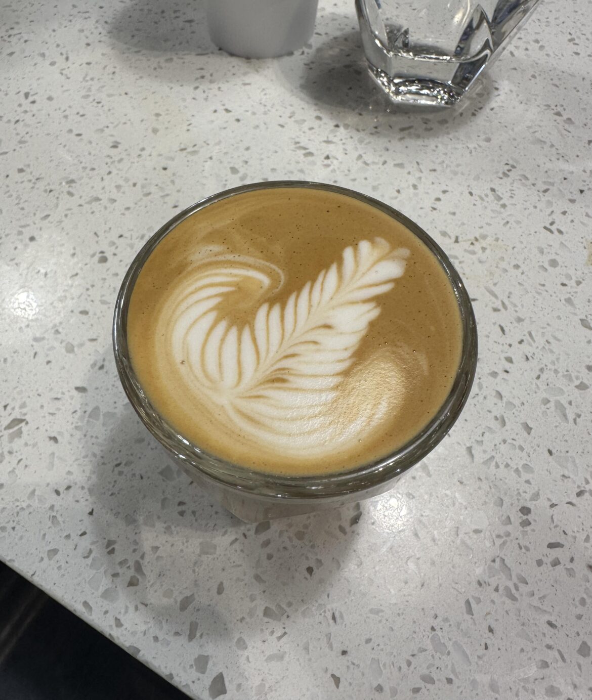 classy oat cortado