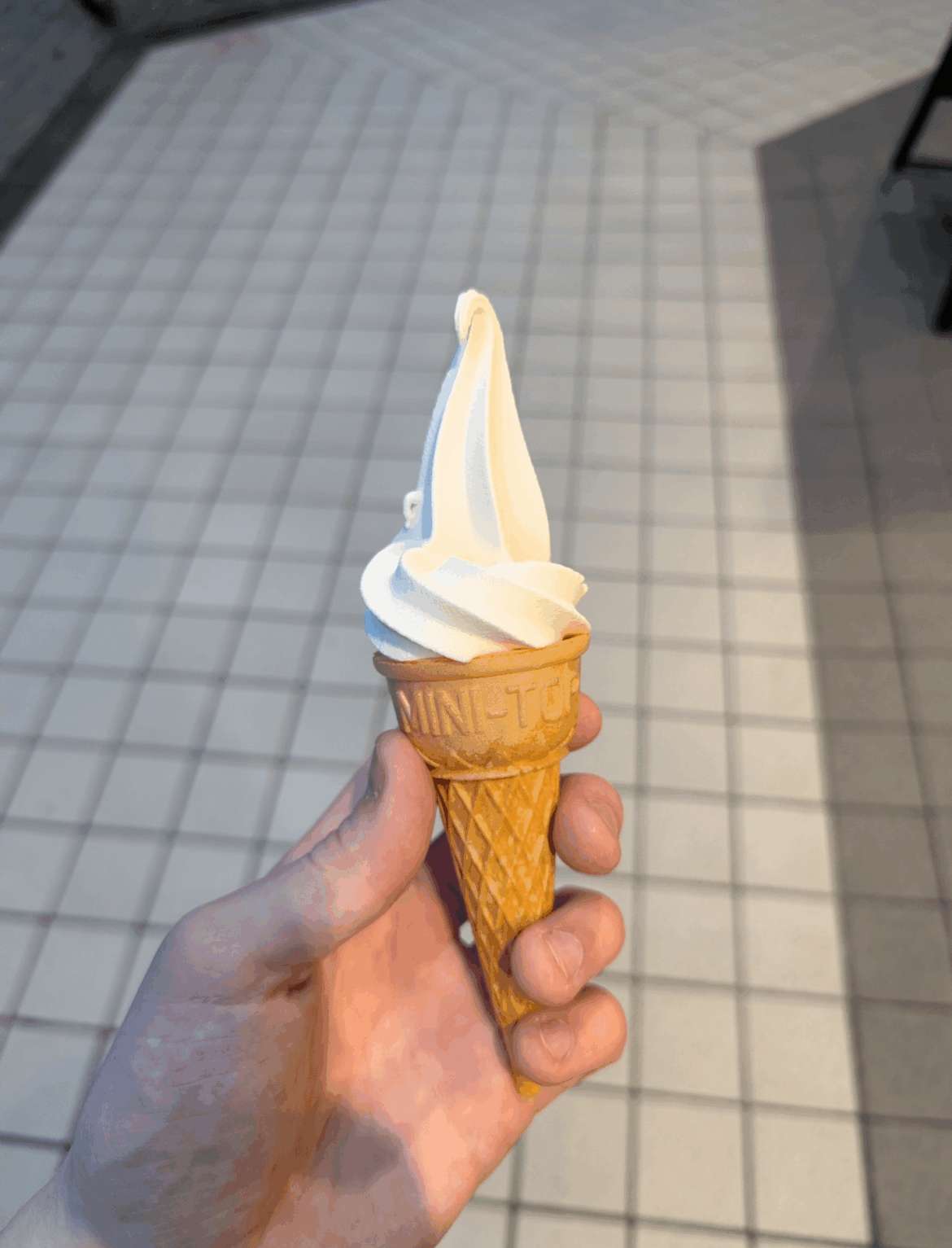 Vegan Ice cream cone I got from IKEA in Japan for 30 cents