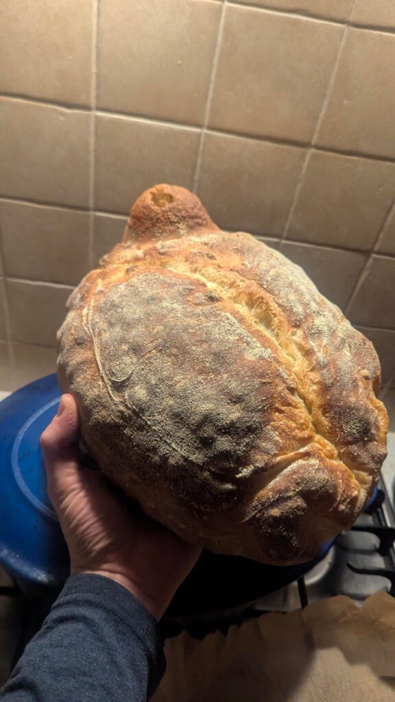 Overproofed can still be great