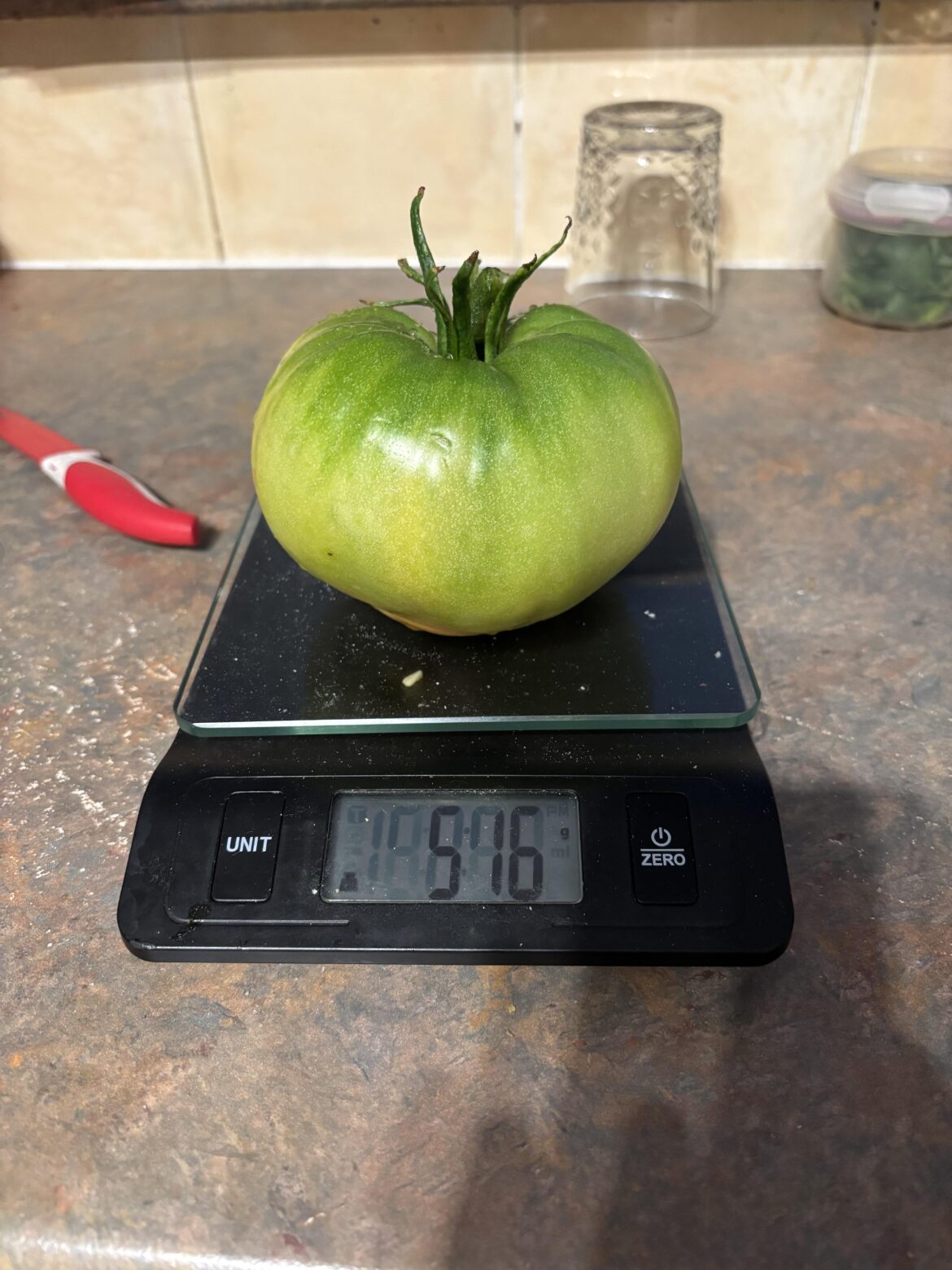 First tomato of the season
