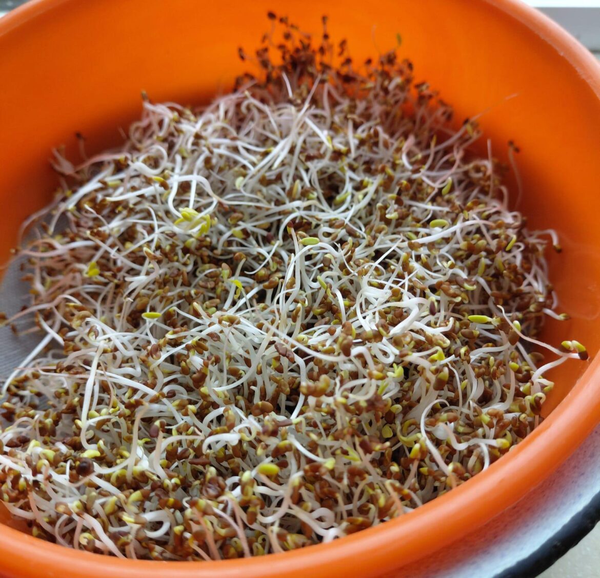 My mom finally goes plant based! Such a victory after years of evangelization