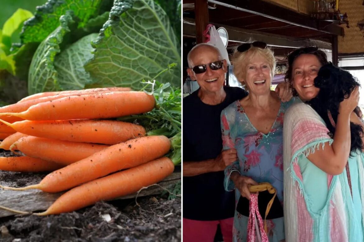 X-rated carrot leaves family in laughter during Christmas dinner