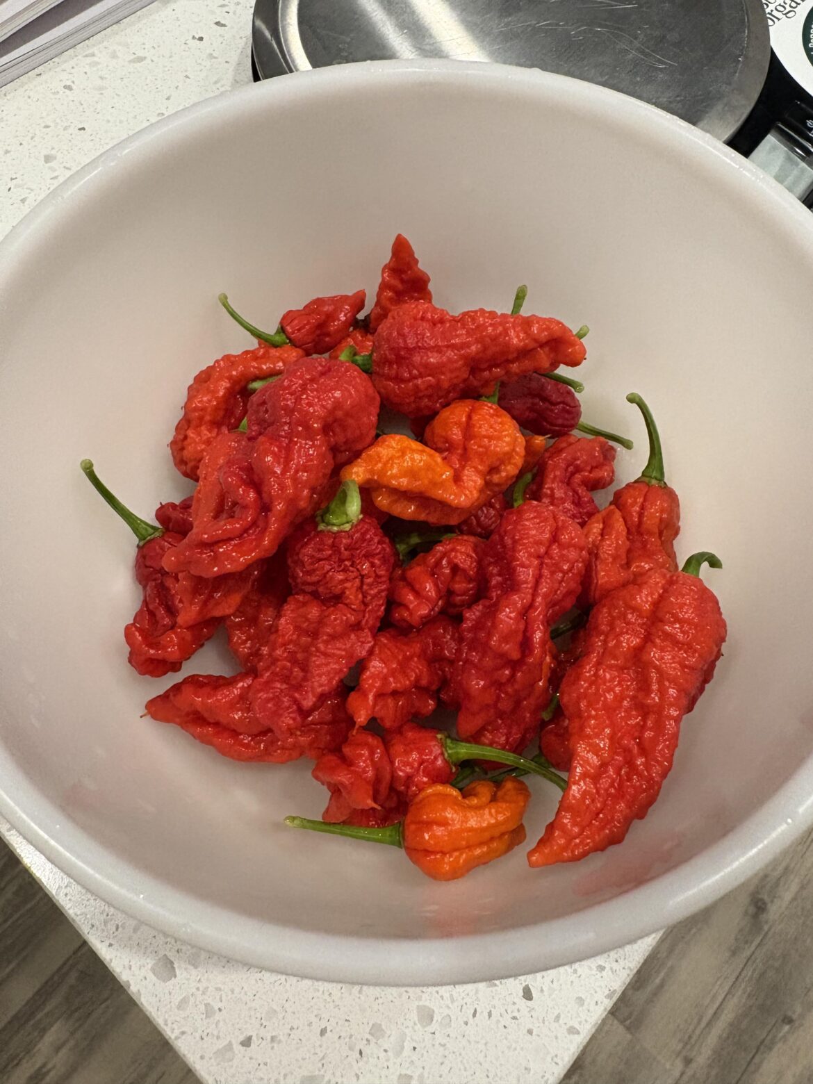 Final reapers of the year