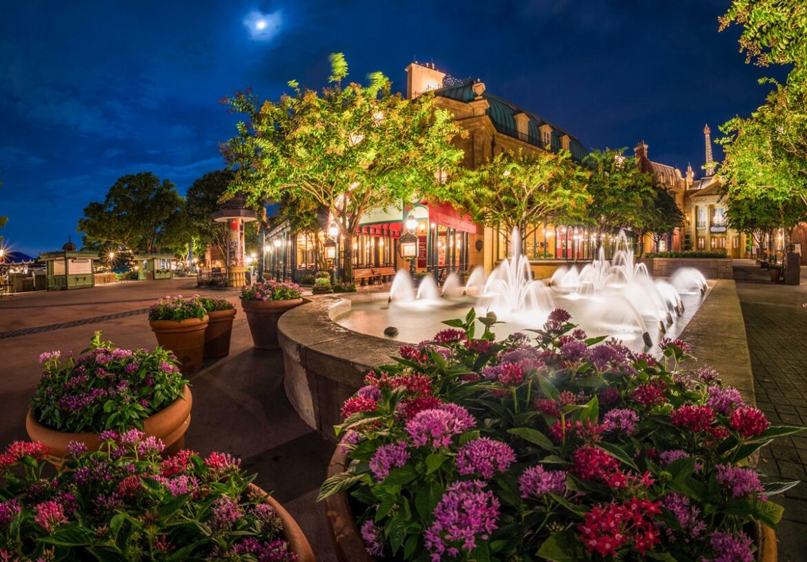 Our Favorite Cheap Restaurant at EPCOT