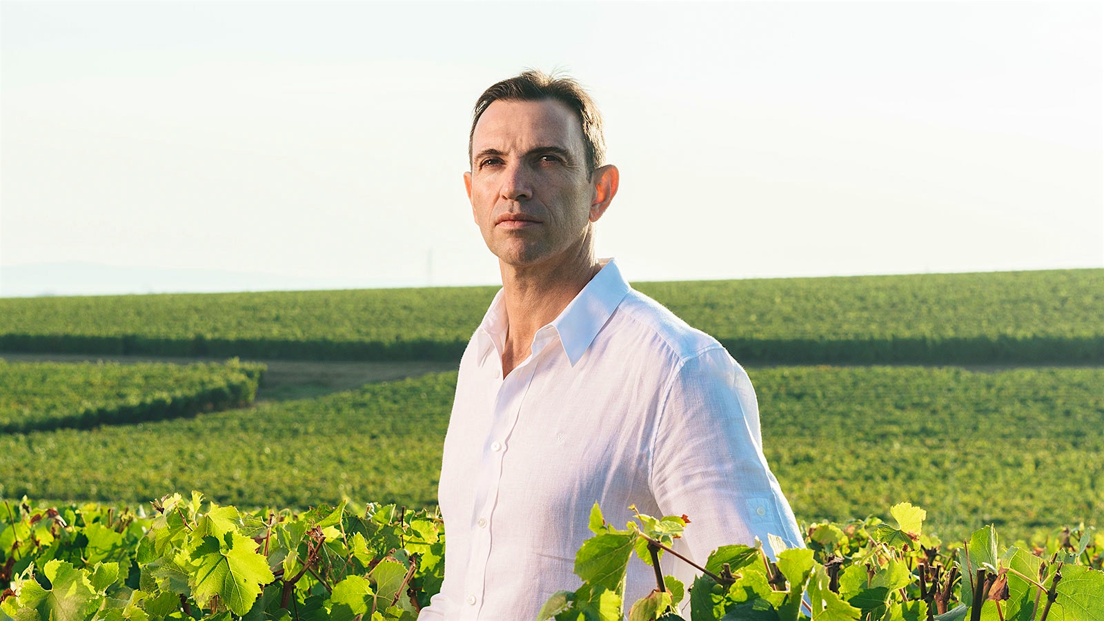  Frédéric Panaïotis was born and raised in Champagne, where he helped in the vineyards at a young age.