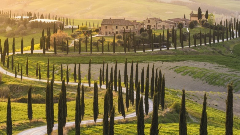 The Val D'Orcia in the Tuscan countryside.