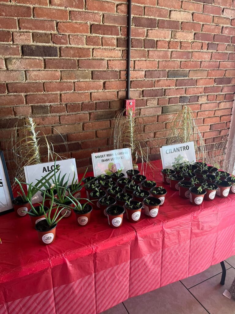 Update on my community project 🌿