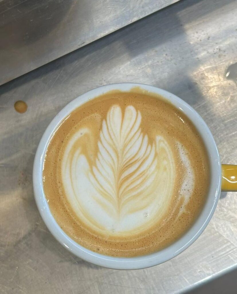 1st Rosetta attempt!