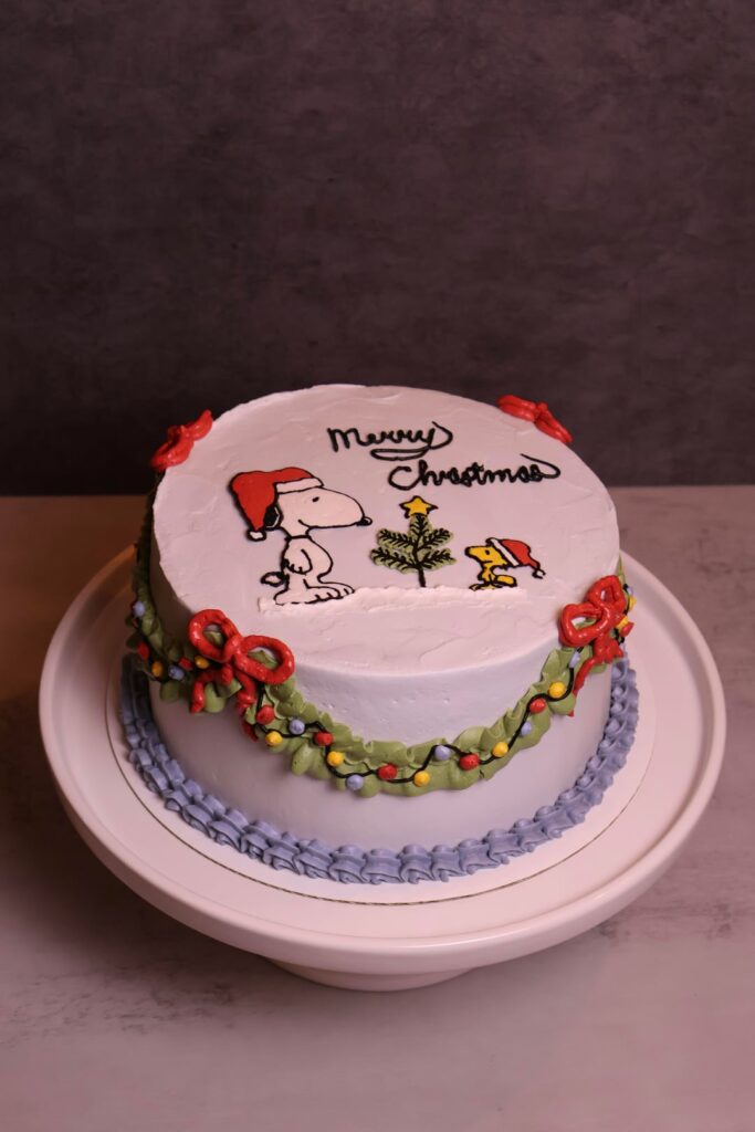 snoopy cake for Christmas!