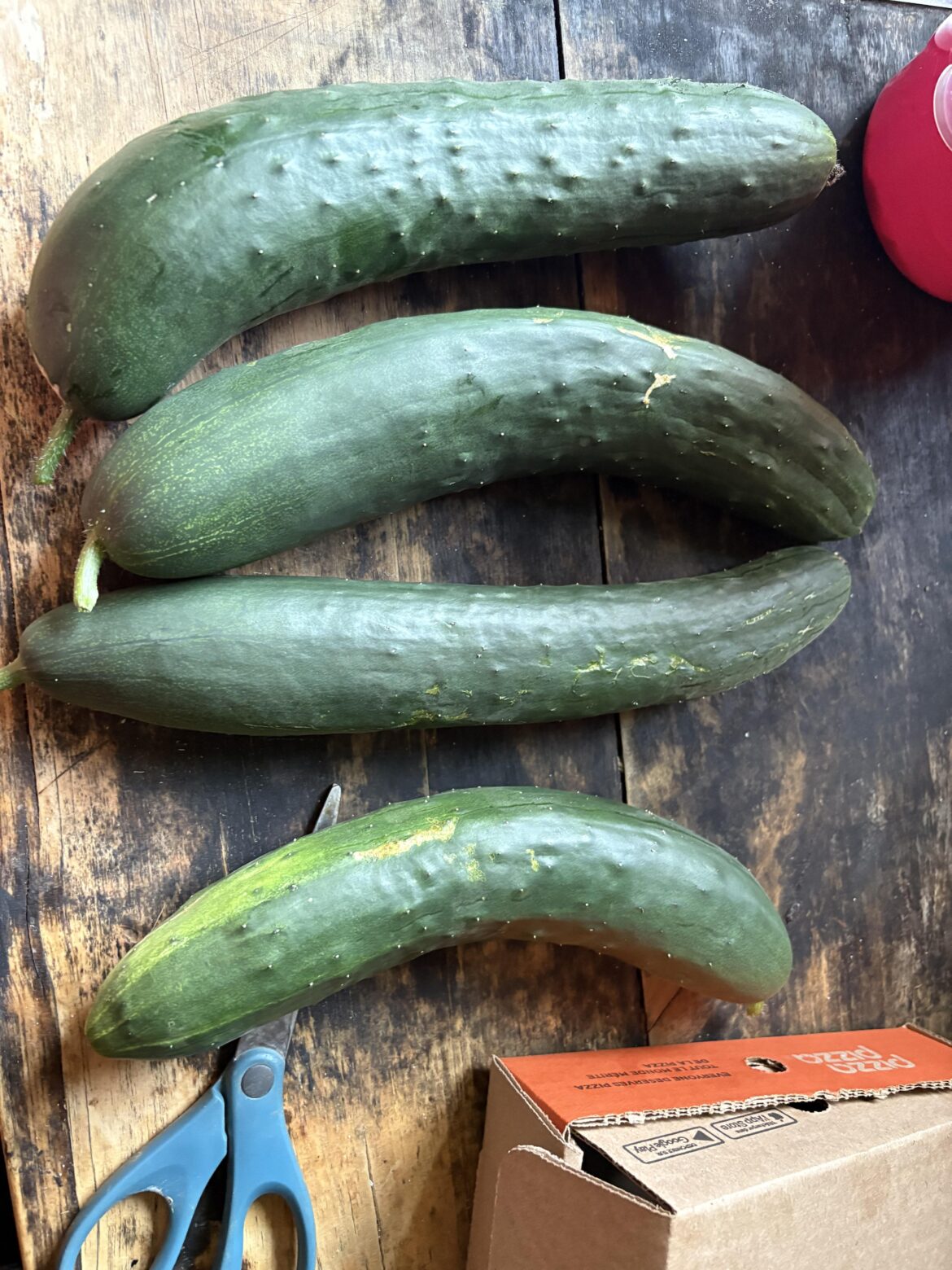 Just when I thought my plant was finished it gave me more!!