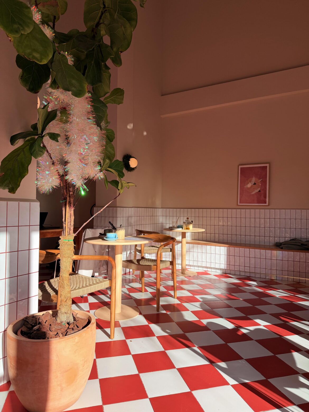 Blueloop Coffee - Spain, Alicante 🇪🇸