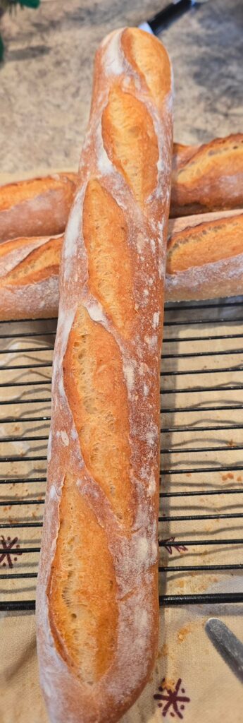 Baguette try #2 68% hydration. What do you guys think?