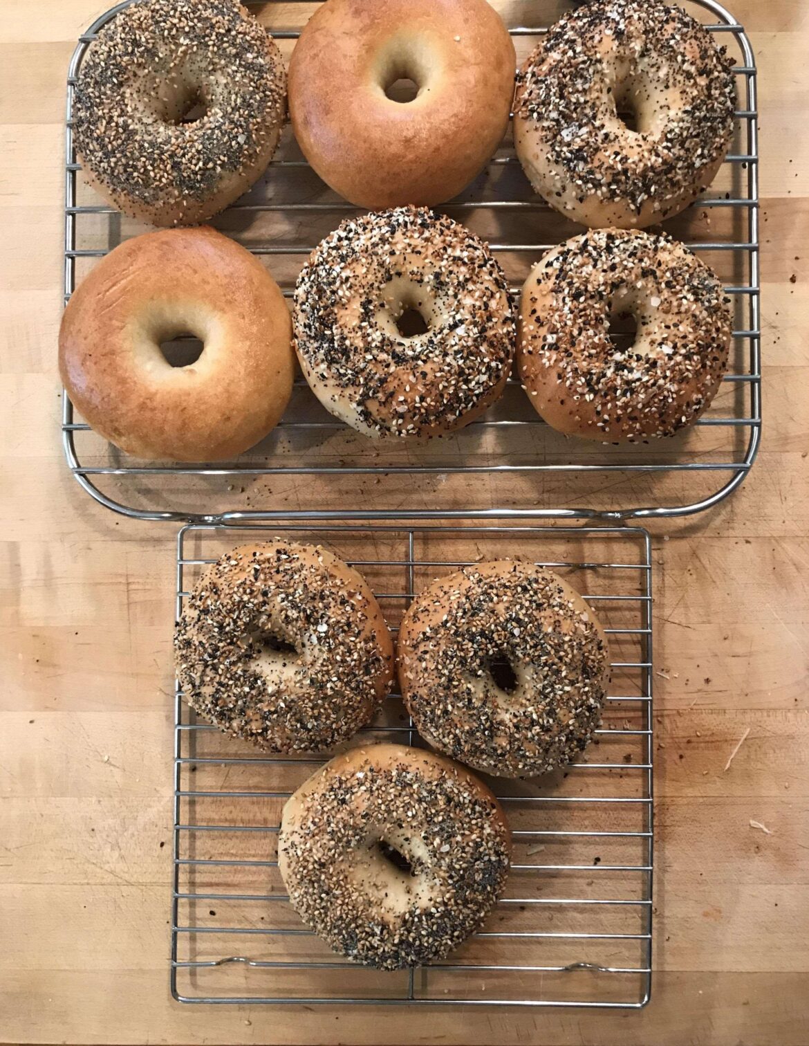 First attempt at sourdough bagels was a huge success