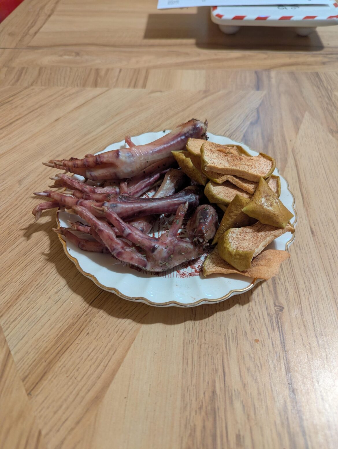 Dehydrated Chicken feet and Apples. Recipe in description.