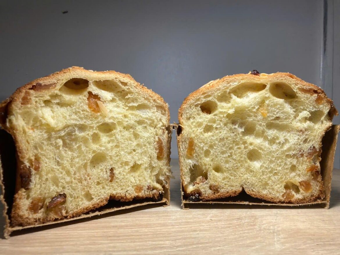 My very first panettone this season.