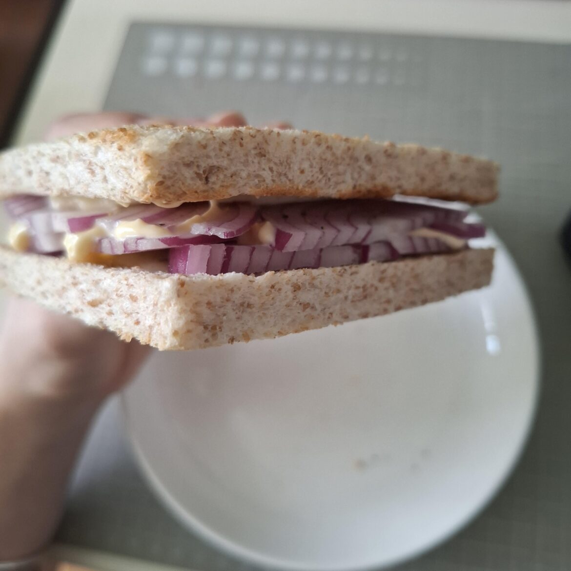 Just a small breakfast: bread and onion and mayonnaise