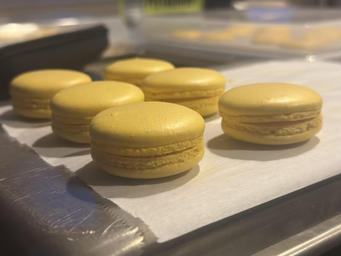 First batch in 2.5y. Still got it!