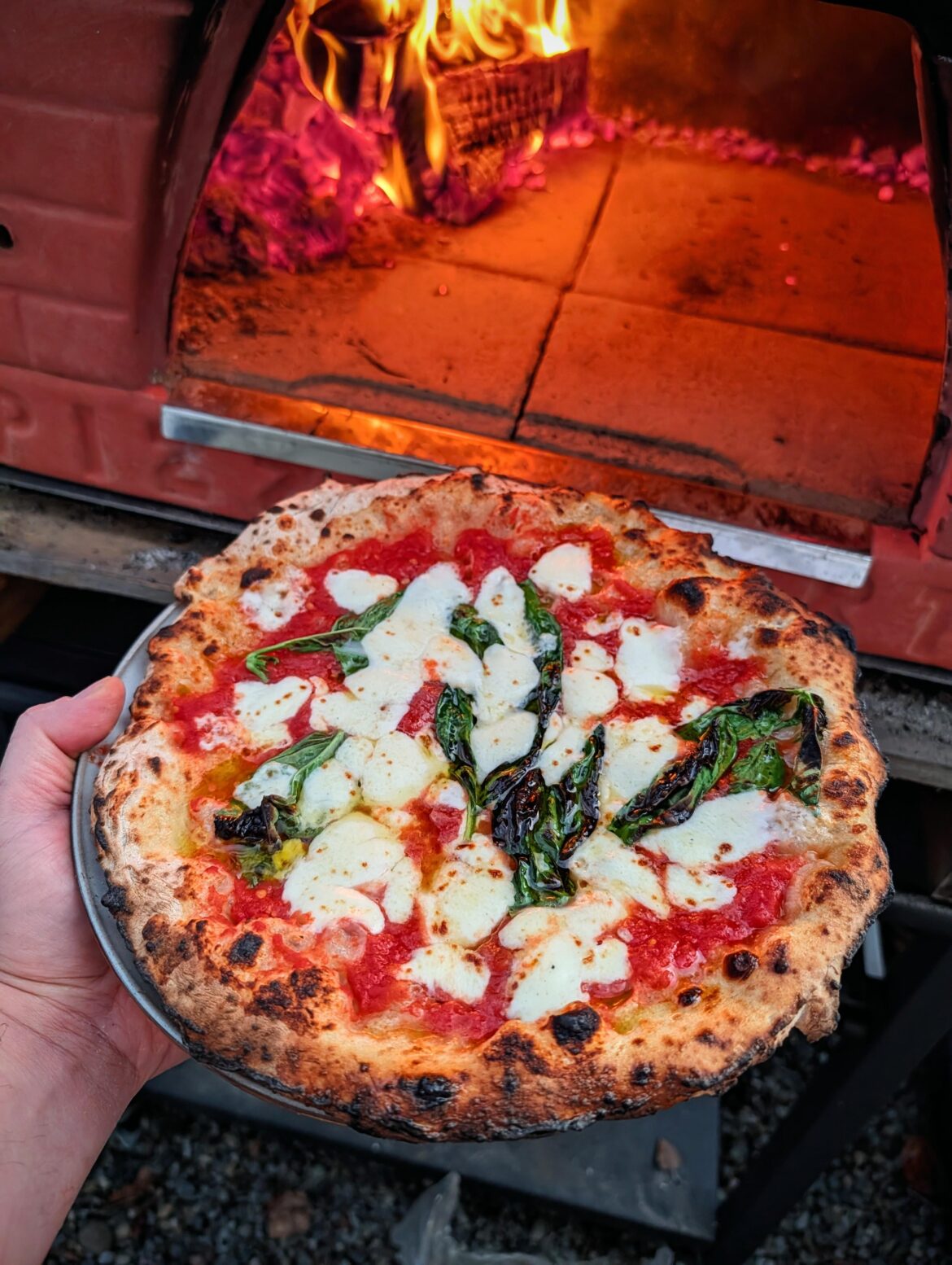 Wood Fired Margherita in my backyard