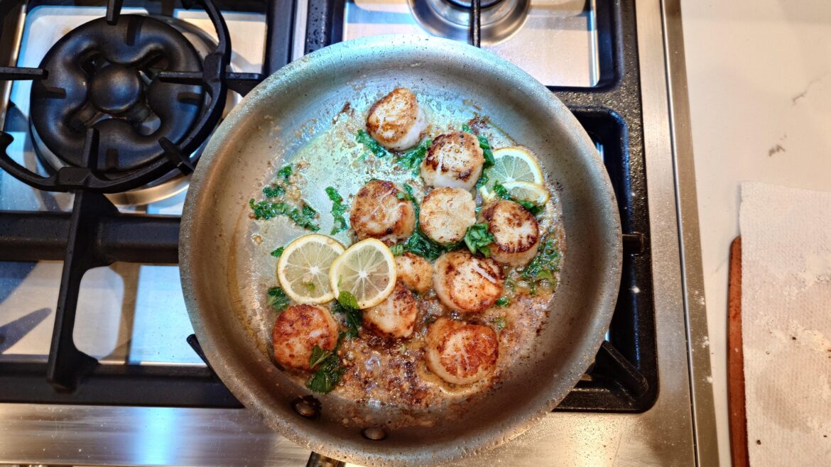 Scallops for Thanksgiving recovery Scallops for Thanksgiving recovery