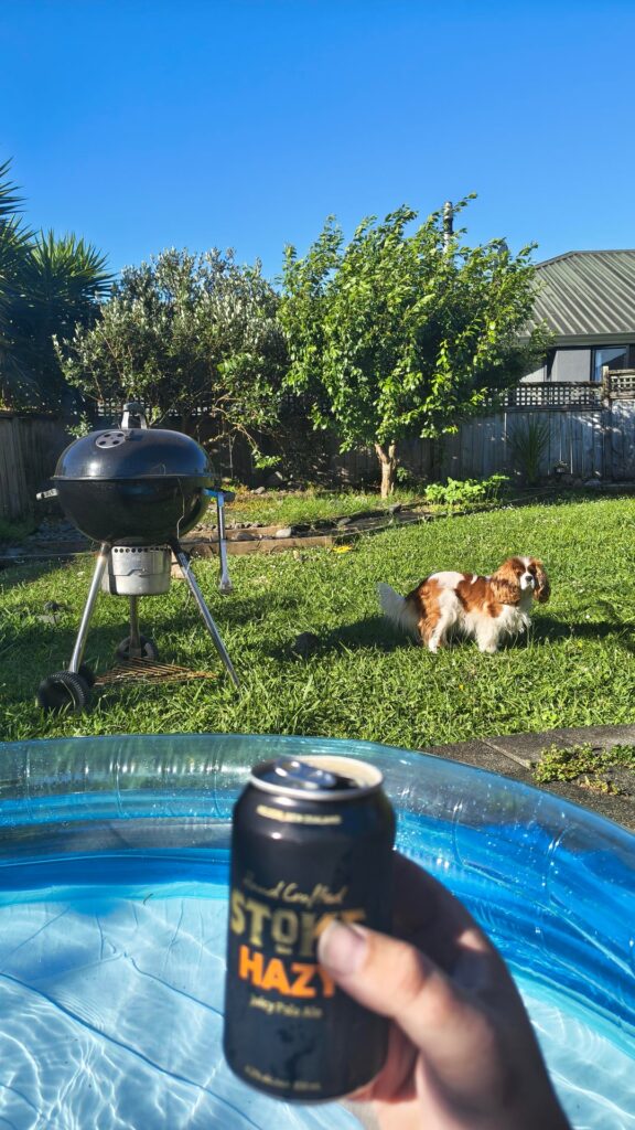 Summer Nights in New Zealand