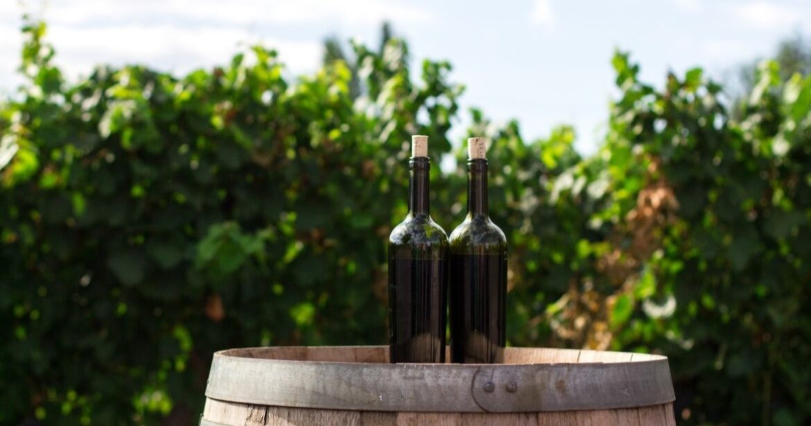 Best wine routes in Spain — idealista/news