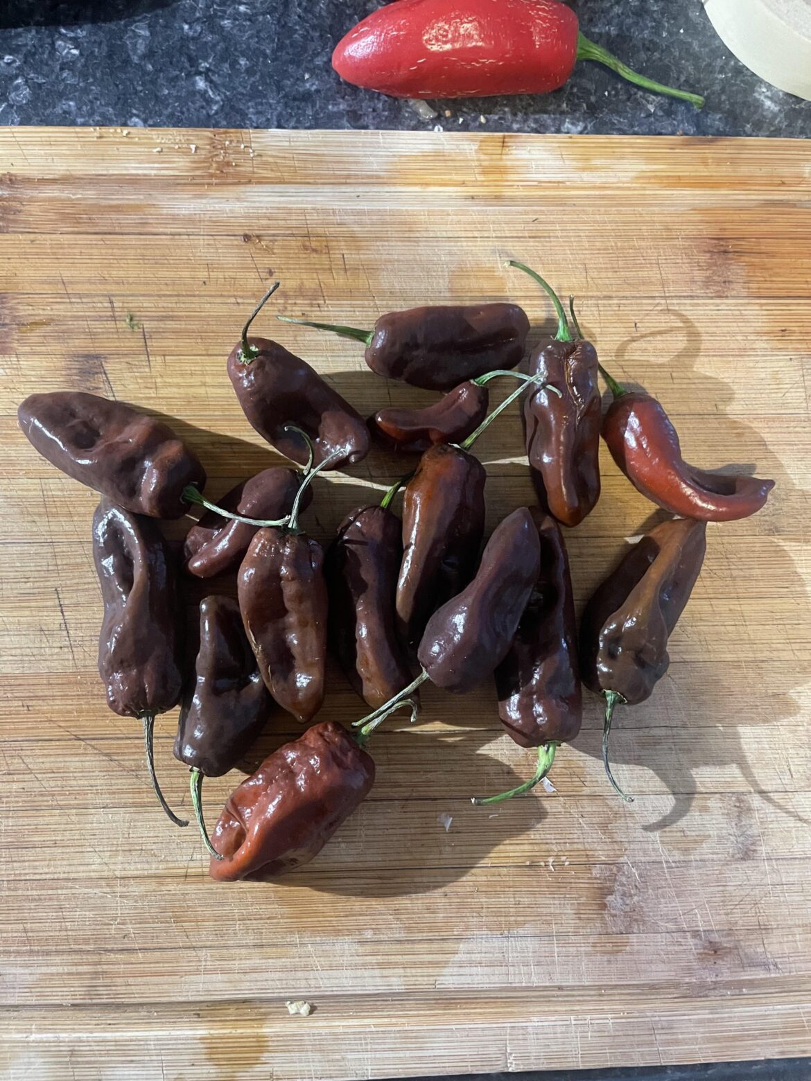 What to do with chocolate poblanos